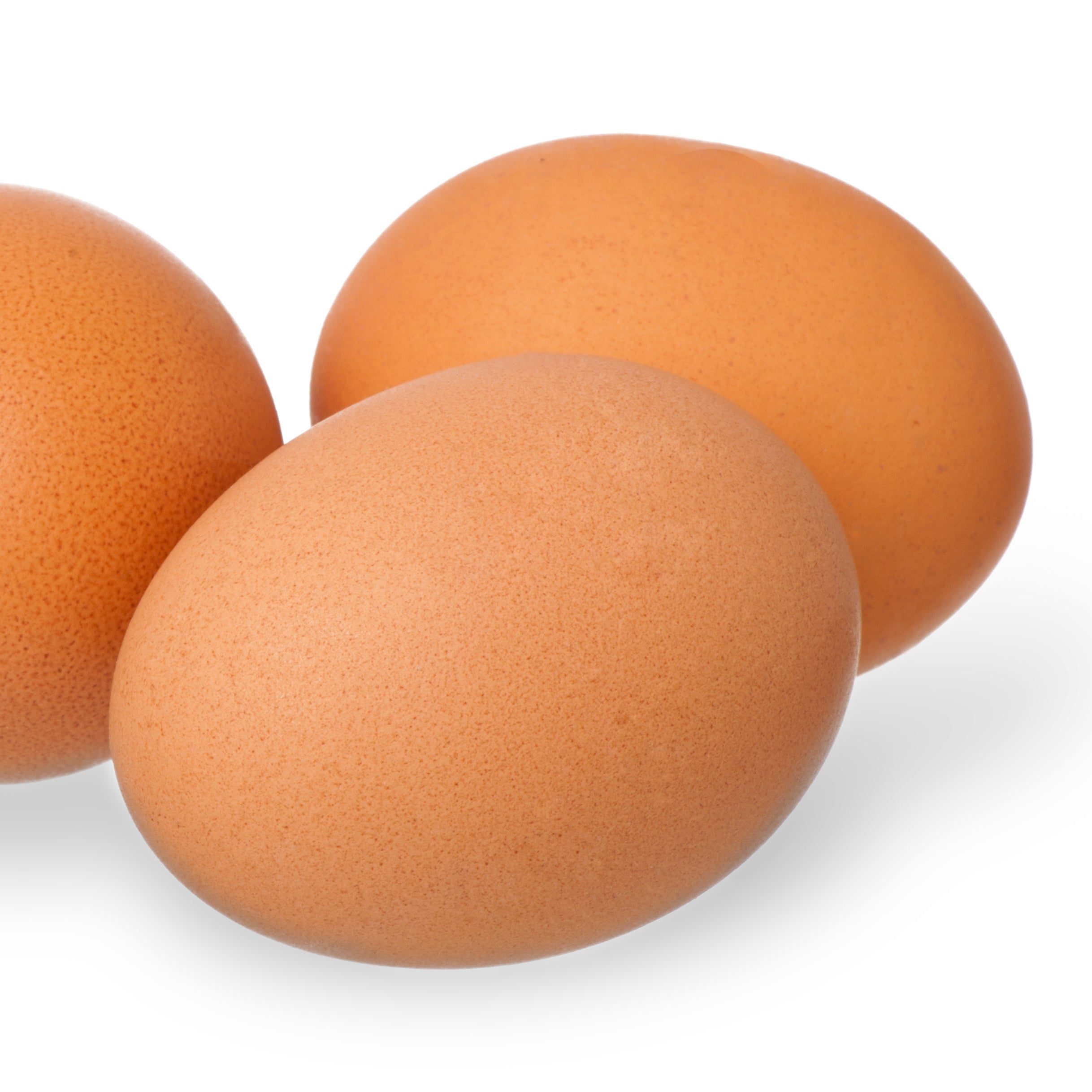 Three brown eggs on a white background