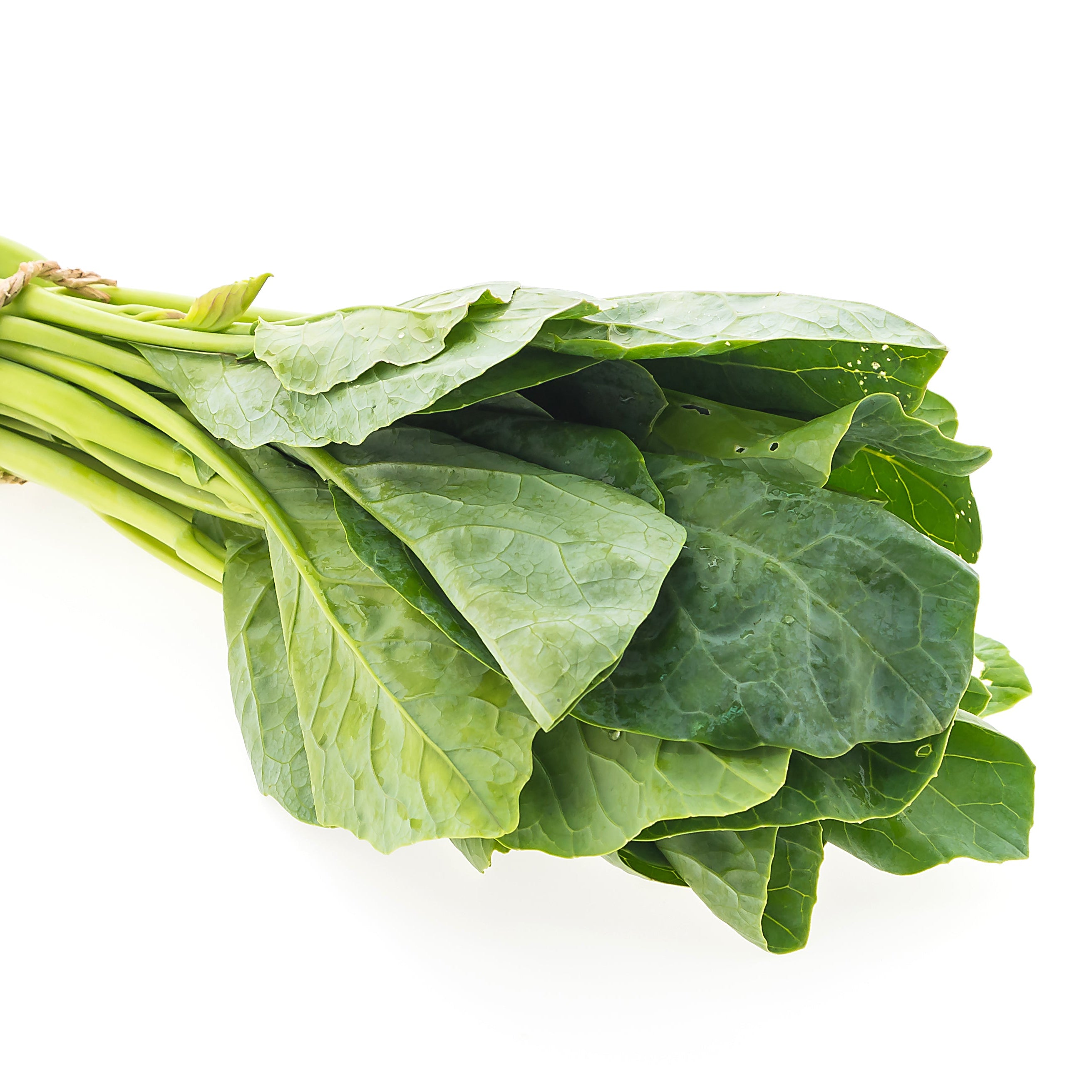 Bunch of fresh green leafy spinach in a  white background